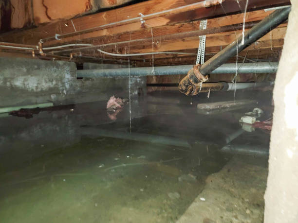 Carpet water damage restoration in NC