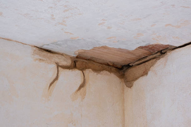 Best Water damage restoration near me  in Fairmont, NC