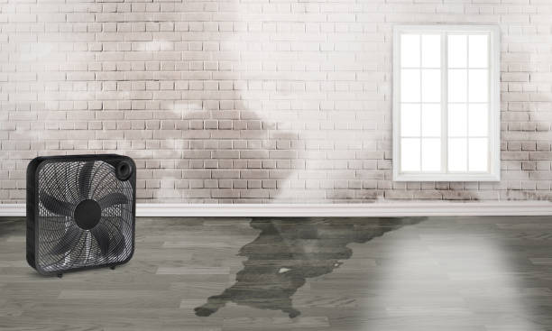 Best 24/7 water damage repair  in Fairmont, NC
