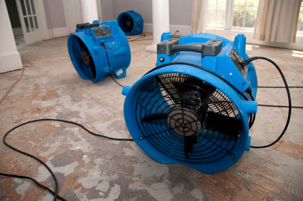 Best 24/7 water damage repair  in Fairmont, NC