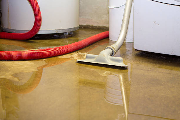 Best Water damage restoration experts  in Fairmont, NC