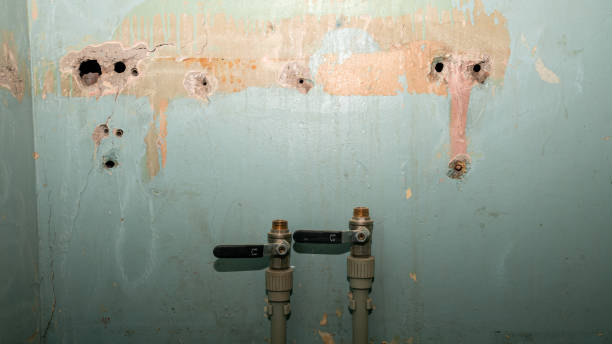 Best Sewage cleanup and water damage restoration  in Fairmont, NC
