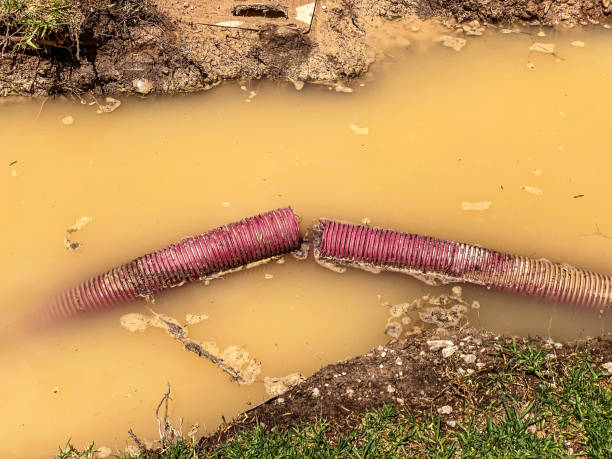 Best Water damage restoration near me  in Fairmont, NC
